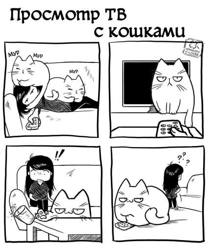 КОТОМУДРОСТИ