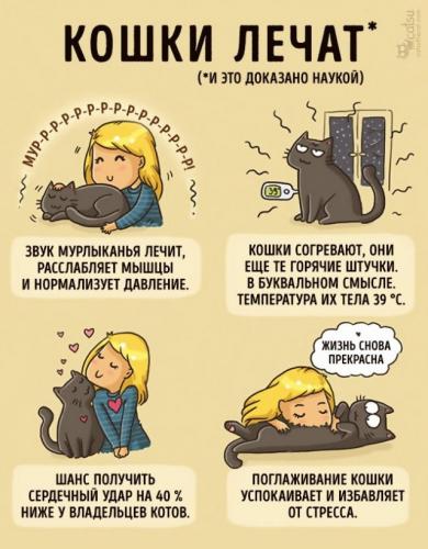 КОТОМУДРОСТИ