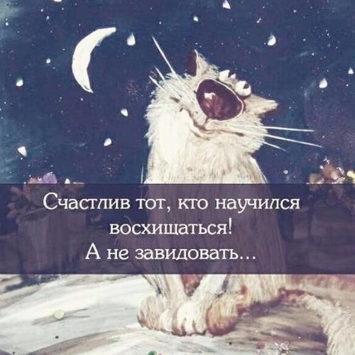 КОТОМУДРОСТИ