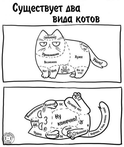 КОТОМУДРОСТИ