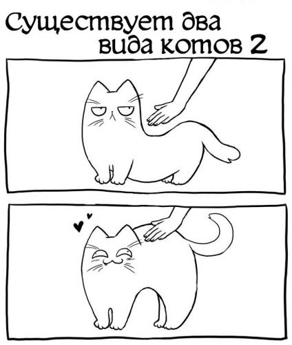 КОТОМУДРОСТИ
