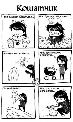 КОТОМУДРОСТИ