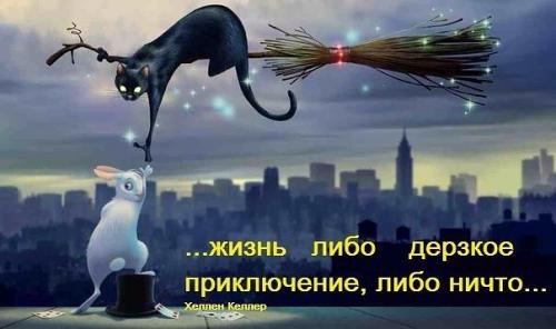 КОТОМУДРОСТИ