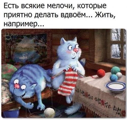 КОТОМУДРОСТИ